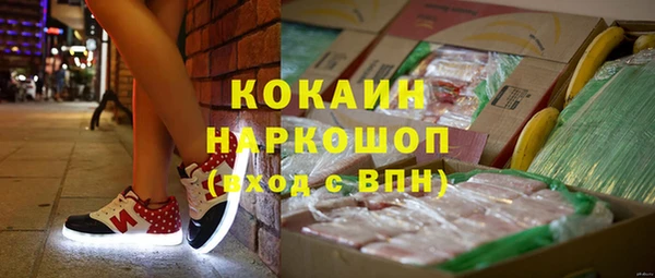МДПВ Алзамай