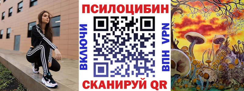 где купить наркотик  Чистополь  Псилоцибиновые грибы прущие грибы 