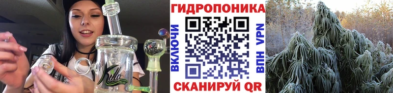 Бошки марихуана сатива  Чистополь 